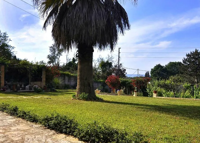 Red In * Kompítsion