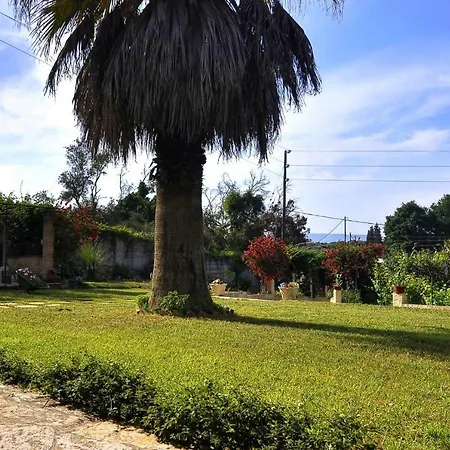 Red In * Kompítsion